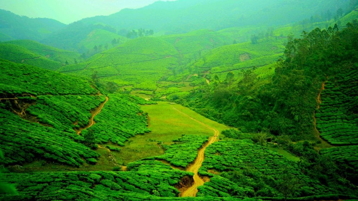 Tourism: మోదీ పిలుపుతో దేశీయ టూరిజం బూమ్.. కాశ్మీర్ నుంచి అండమాన్ వరకు ఫుల్ బుకింగ్స్ |
