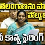 Kadiyam Kavya's Roar in LS: తెలంగాణను పాకిస్థాన్తో పోల్చుతారా?".. ఎంపీ కడియం కావ్య ఫైరింగ్ స్పీచ్! | ACTPnews