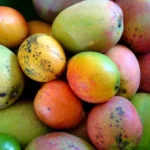 Costly Mango: కిలో కాదు.. ఒక్క పండుకే రూ.500.. ఈ మామిడి పండు హిస్టరీ తెలిస్తే షాక్ అవుతారు..! | | ACTPnews