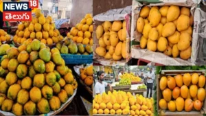 Japan Bans Indian Mangoes: భారతీయ మామిడి పండ్లపై జపాన్ నిషేధం.. 20 ఏళ్ల తర్వాత మళ్లీ ఎందుకిలా..? | బిజినెస్ | ACTPnews