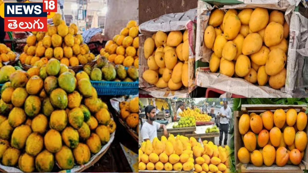 Japan Bans Indian Mangoes: భారతీయ మామిడి పండ్లపై జపాన్ నిషేధం.. 20 ఏళ్ల తర్వాత మళ్లీ ఎందుకిలా..? | బిజినెస్