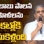 Sajjala Ramakrishna Reddy : చంద్రబాబు పాలన మహిళలను చీకట్లోకి తీసుకెళ్లింది | ACTPnews