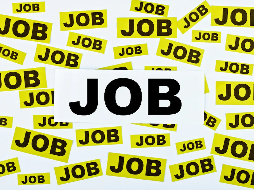 Stree Nidhi recruitment 2026, Telangana contract jobs, Hyderabad government jobs, Stree Nidhi vacancies, senior manager jobs, IT consultant jobs, rural banking jobs, స్త్రీ నిధి రిక్రూట్మెంట్ 2026, స్త్రీ నిధి ఉద్యోగాలు, స్త్రీ నిధి జాబ్స్, తెలంగాణ కాంట్రాక్ట్ ఉద్యోగాలు, హైదరాబాద్ ప్రభుత్వ ఉద్యోగాలు, ఐటీ కన్సల్టెంట్ ఉద్యోగాలు, తెలంగాణ గ్రామీణ బ్యాంకింగ్ ఉద్యోగాలు
