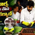 Deputy CM Pawan Kalyan | సీడ్ బాల్స్ తయారు చేసిన పవన్ కల్యాణ్.. | ACTPnews