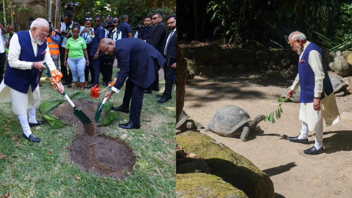 PM Modi Seychelles Visit 2026: సీషెల్స్ పర్యటనలో ప్రధాని.. తాబేలుకి ఆహారం పెట్టిన మోదీ.. సముద్ర భద్రతకు కొత్త మైలురాయి |