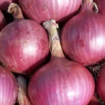 Onion Price: ఉల్లి రైతులకు కేంద్రం గుడ్న్యూస్.. ప్రభుత్వ కొనుగోలు ధర 13% పెంపు.. క్వింటాల్కు ఇక ఎంతంటే? | బిజినెస్ | ACTPnews