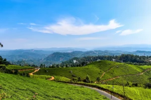 Kerala Tour: హైదరాబాద్ నుంచి కేరళకు అదిరిపోయే ప్యాకేజీ… ఫ్లైట్లో జర్నీ, హౌస్బోట్లో బస | IRCTC Tourism Launches Keralam Monsoon Magic Flight Tour | | ACTPnews