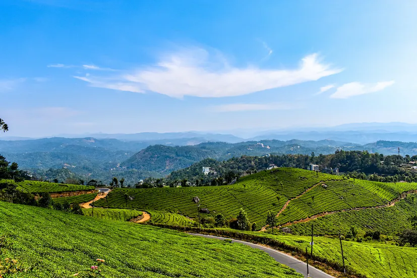 kerala tour packages with price, kerala tour packages from hyderabad, kerala tour packages for family, kerala tour packages with flight price, kerala tour packages for couple, kerala tour packages for family 2 days, best kerala tour packages from hyderabad, best time to visit kerala, IRCTC Hyderabad Kerala Tour, ఐఆర్‌సీటీసీ కేరళ టూర్ ప్యాకేజ్, హైదరాబాద్ నుంచి కేరళ టూర్, కేరళ మాన్సూన్ మ్యాజిక్, కేరళ టూర్, మున్నార్ టూర్ ప్యాకేజ్