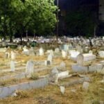 Cemetery: పసికందును ఖననం చేసి వెళ్లారు.. మరుసటి రోజు అక్కడ కనిపించిన దృశ్యంతో కుటుంబం షాక్..! | | ACTPnews