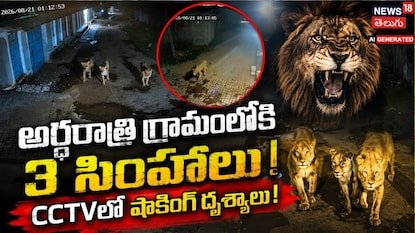 Viral Video: అర్ధరాత్రి గ్రామంలో మూడు సింహాలు.. CCTVలో షాకింగ్ దృశ్యాలు.. | | ACTPnews