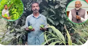Andhra Avocado Farmer: లాభాలు కురిపిస్తున్న అవకాడో సాగు.. కడప రైతును దేశ ప్రజలకు పరిచయం చేసిన ప్రధాని | ఆంధ్రప్రదేశ్ వార్తలు | ACTPnews