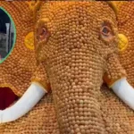 Panipuri Ganpati: పానీ పూరీలతో 13 అడుగుల గణేష్ విగ్రహం.. నిమజ్జనం ఎలా చేస్తారో తెలుసా..? | ట్రెండింగ్ | ACTPnews