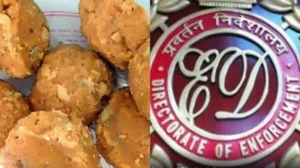 TTD Ghee Adulteration: టీటీడీ నెయ్యి కల్తీ కేసులో కీలక పరిణామం.. మాస్టర్ మైండ్ అరెస్ట్.. జంతు కొవ్వుపై క్లారిటీ ఇచ్చిన ఈడీ | ఆంధ్రప్రదేశ్ వార్తలు | ACTPnews