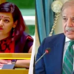 UNGA: పగలు భద్రత.. రాత్రి ఉగ్రవాదం.. మీరా చెప్పేది నీతులు.. పాకిస్తాన్కు భారత్ స్ట్రాంగ్ కౌంటర్ | | ACTPnews